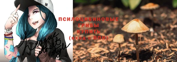 амф Корсаков