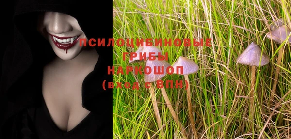 эйфоретик Костерёво