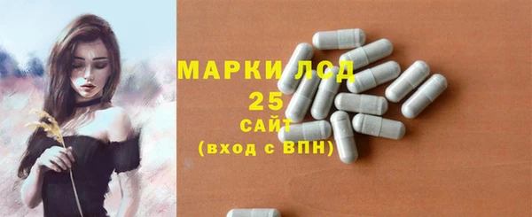 амф Корсаков