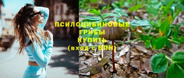 эйфоретик Костерёво