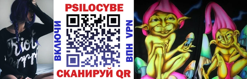 Купить где Аркадак Псилоцибиновые грибы мухоморы